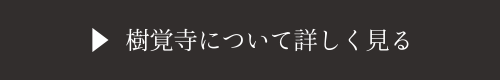 樹覚寺について詳しく見る